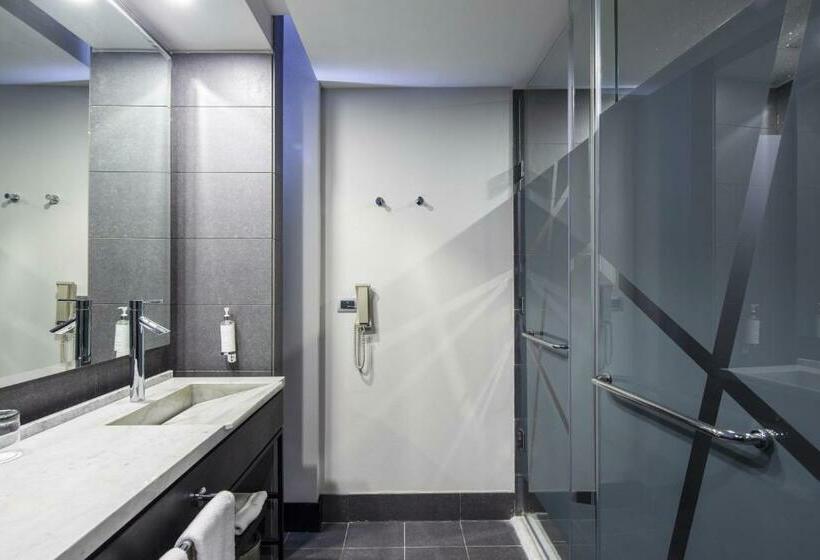 اتاق استاندارد با تخت بزرگ, Wyndham Santiago Pettra