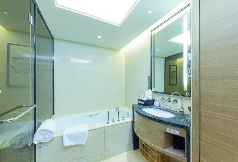 اتاق لوکس, Shenzhen Langyue International