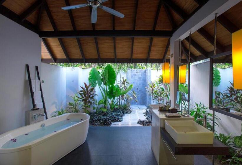 ویلای یک اتاق خوابه با استخر شنا, Velassaru Maldives