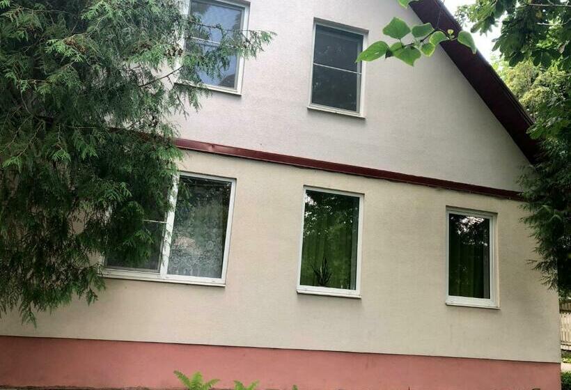 استودیو خانوادگی, Bierini Park Studio