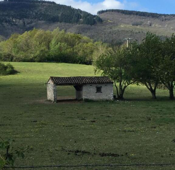 Номер Стандарт, Les Camélias