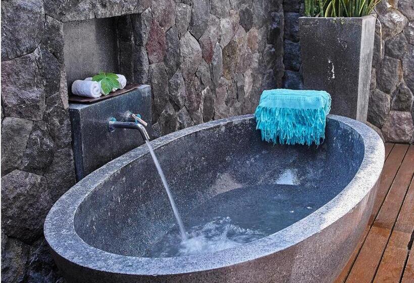 Вилла 2 Спальни, The Purist Villas & Spa Ubud