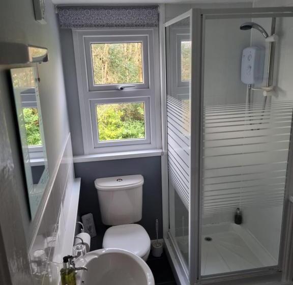 스탠다드 룸, Fellview Guest House