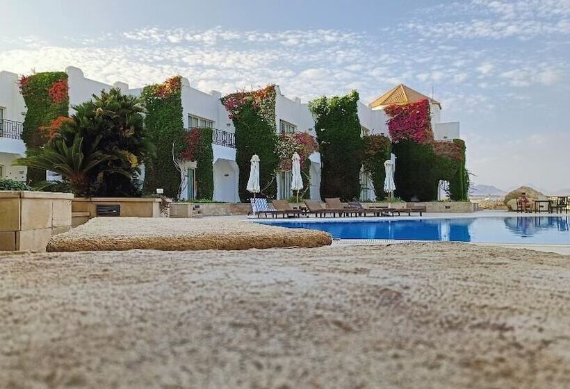 اتاق سوپریور با چشم‌انداز دریا, Eden Rock Hotel Namaa Bay