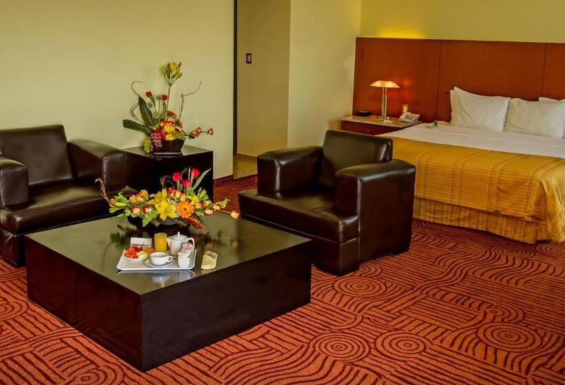 سوئیت جونیور با ماساژ آبی, Holiday Inn Puebla Finsa, An Ihg
