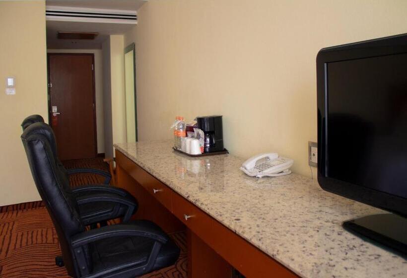 سوئیت جونیور با ماساژ آبی, Holiday Inn Puebla Finsa, An Ihg