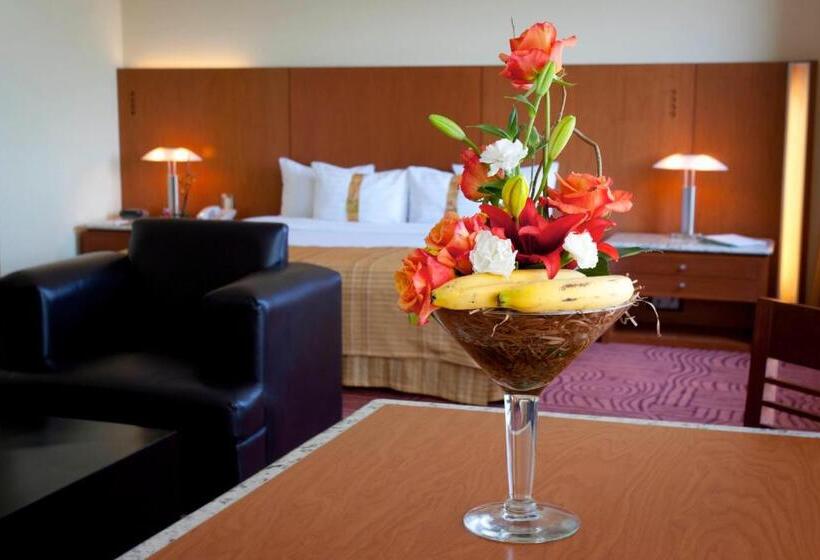 سوئیت جونیور با ماساژ آبی, Holiday Inn Puebla Finsa, An Ihg