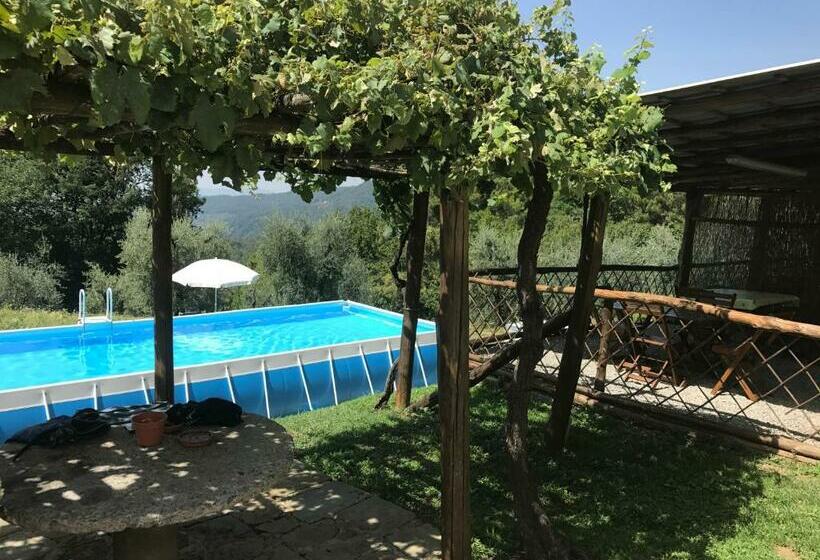 １階の１ベッドルームアパートメント, Agriturismo Da Nonna Argia