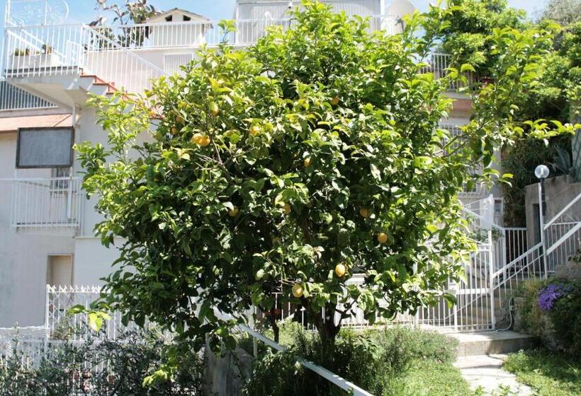 اتاق اکونومی, Poggio Del Sole