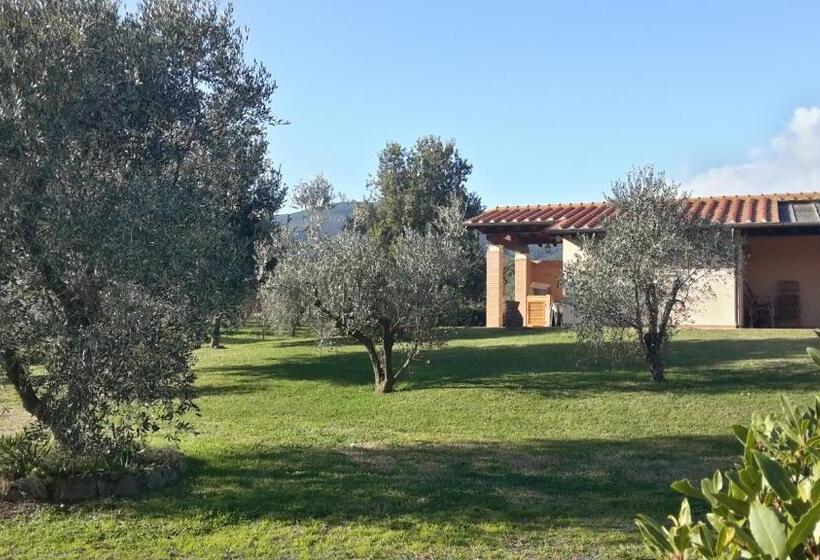 Студио Стандарт Вид на Сад, Agriturismo Casa Andreina
