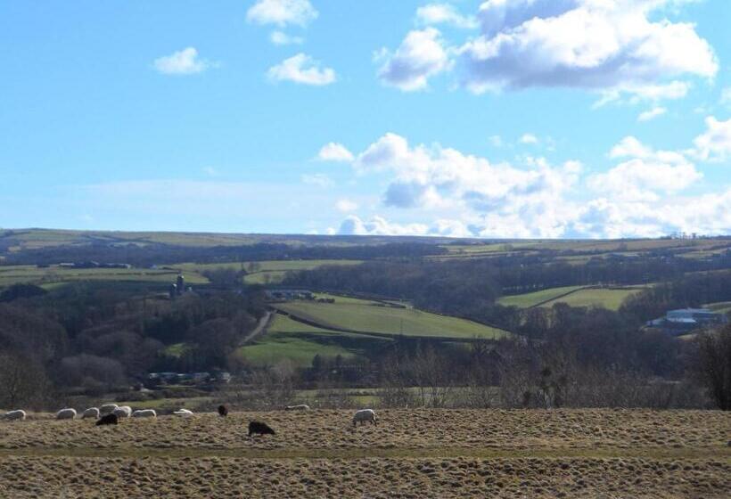 اتاق لوکس, Mooredge B&b