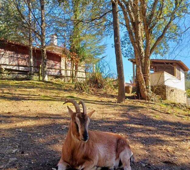 Номер Стандарт Вид на Озеро, Quinta Da Chouza Agroturismo E Enoturismo