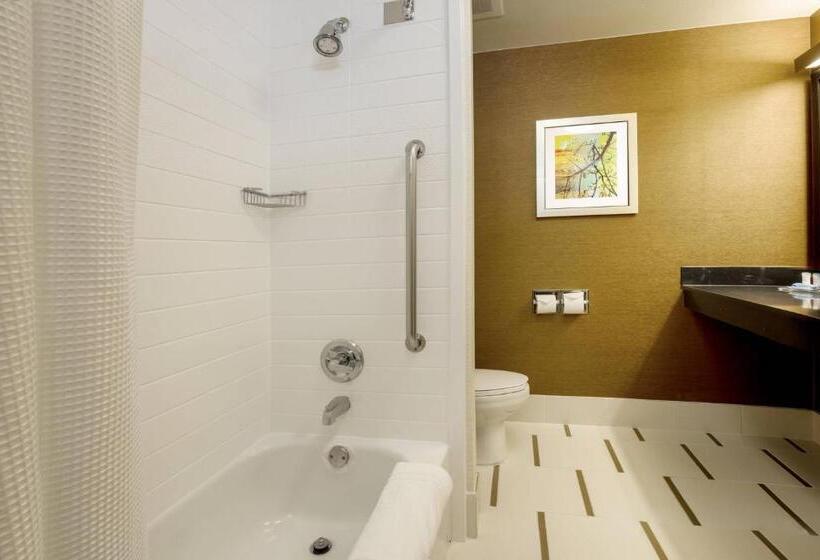 اتاق استاندارد با تخت بزرگ, Fairfield By Marriott Inn & Suites Las Vegas Stadium Area