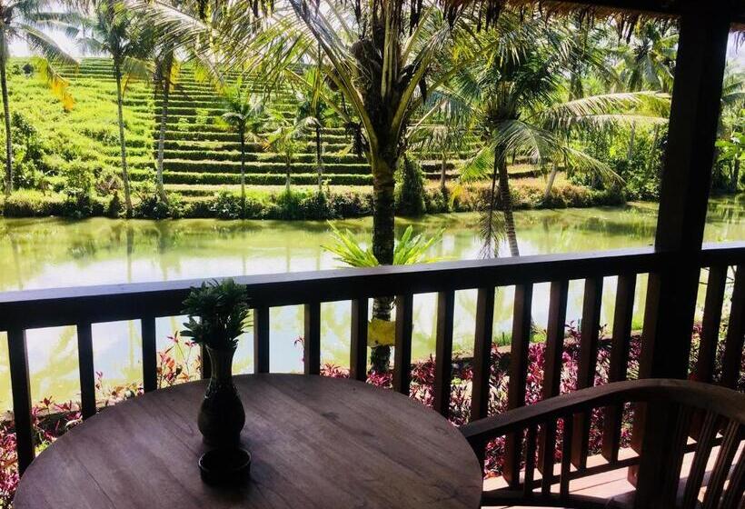 수피리어 방갈로, Alam Taman Villa