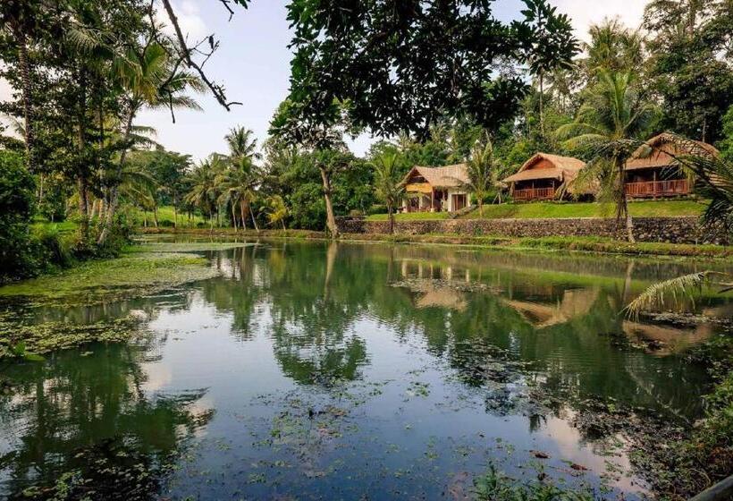 수피리어 방갈로, Alam Taman Villa