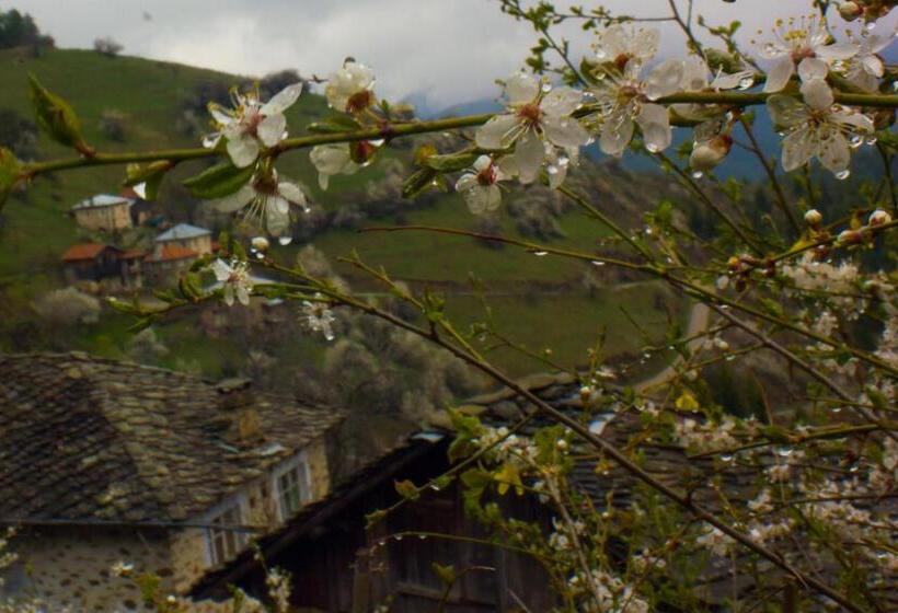 Люкс Дюплекс, Zornica Guest House
