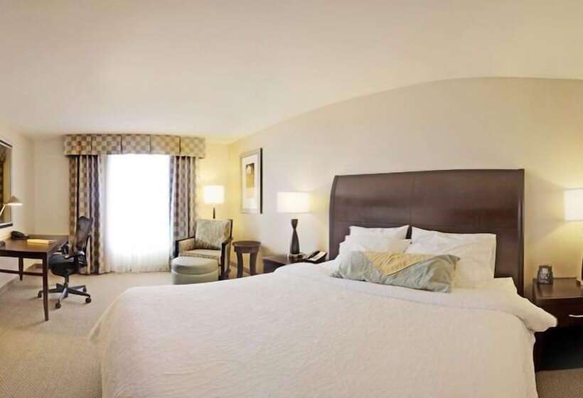 اتاق استاندارد برای معلولان, Hilton Garden Inn Omaha East/council Bluffs