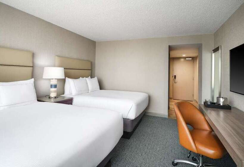 اتاق استاندارد, Hilton Richardson Dallas