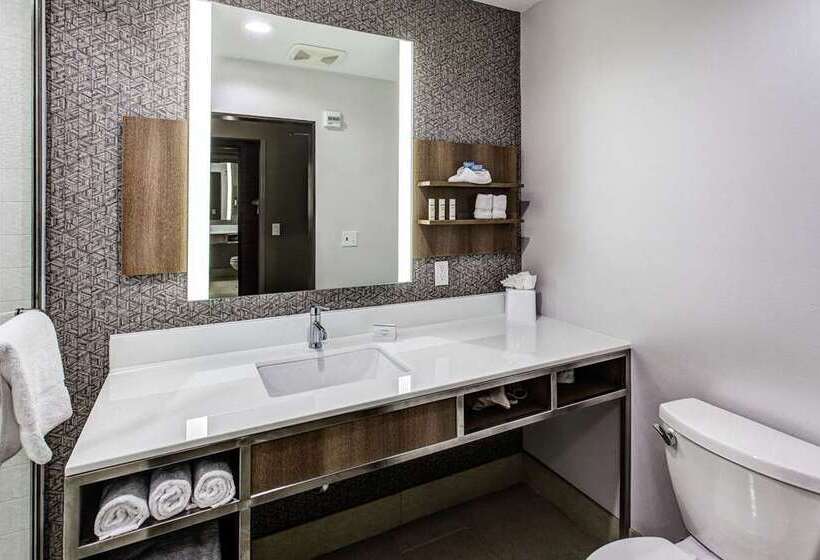 اتاق استاندارد, Hilton Richardson Dallas