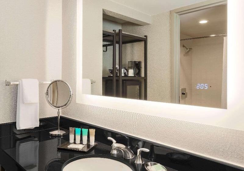 اتاق استاندارد با تخت بزرگ, Hilton Richardson Dallas