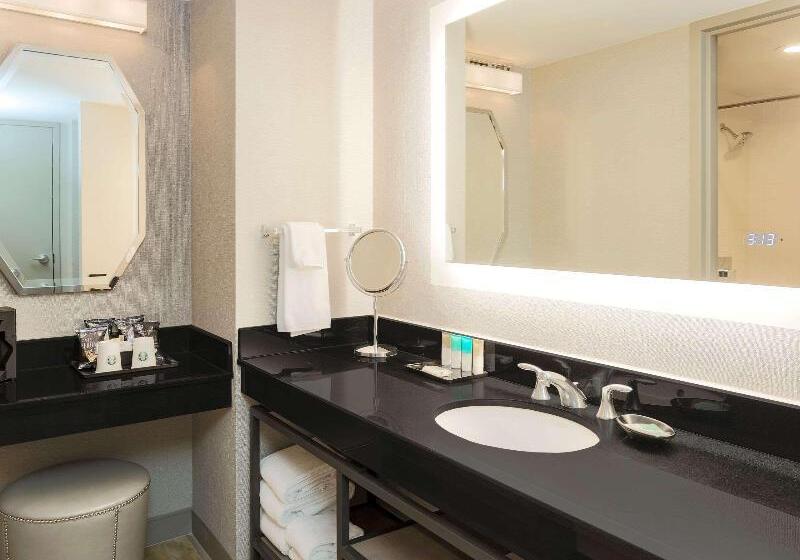 اتاق استاندارد با تخت بزرگ, Hilton Richardson Dallas