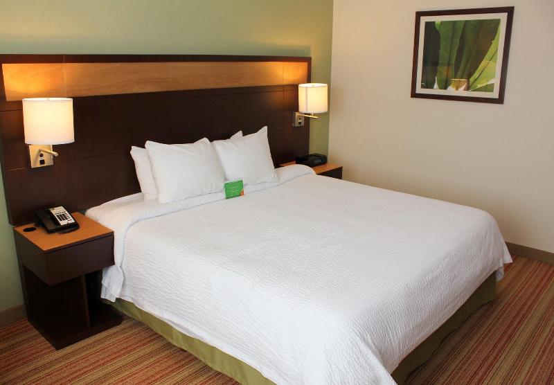 اتاق استاندارد با تخت بزرگ, Hyatt Place Savannah Airport