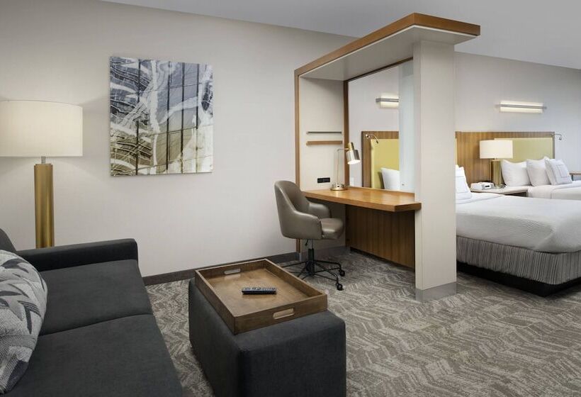 Студия Стандарт, Springhill Suites Potomac Mills Woodbridge