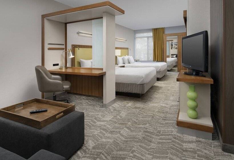 Студия Стандарт, Springhill Suites Potomac Mills Woodbridge