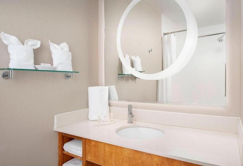 Студио Стандарт Кровать Кинг, Springhill Suites Potomac Mills Woodbridge