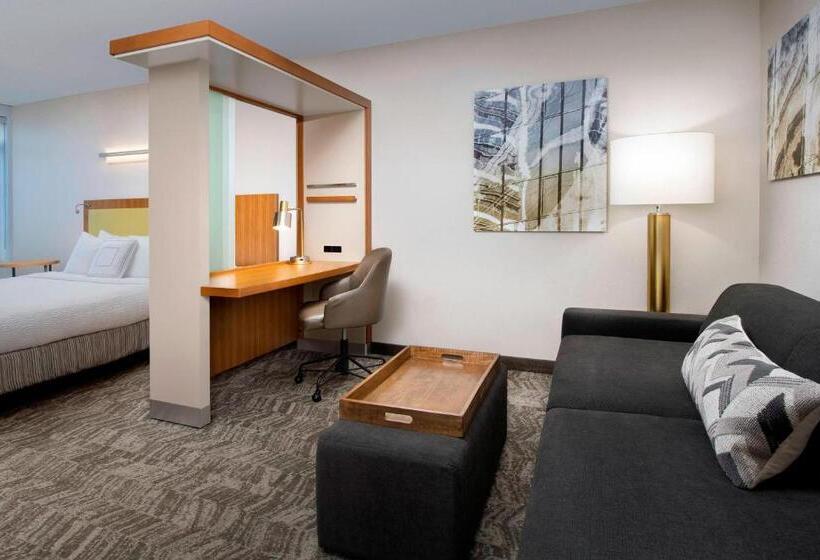 Студио Стандарт Кровать Кинг, Springhill Suites Potomac Mills Woodbridge