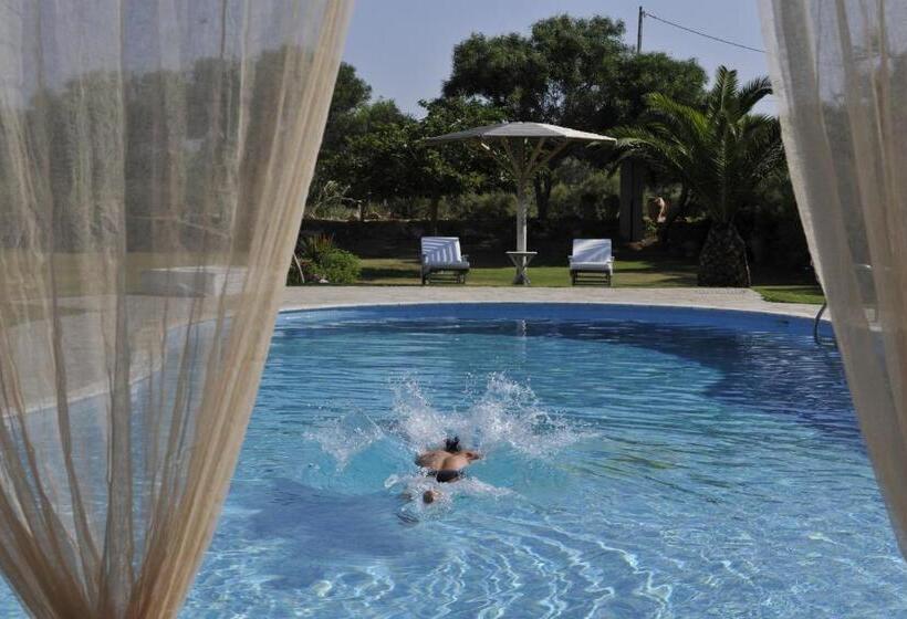 Апартаменты 1 Спальня, Ammos Naxos Exclusive Apartments & Studios
