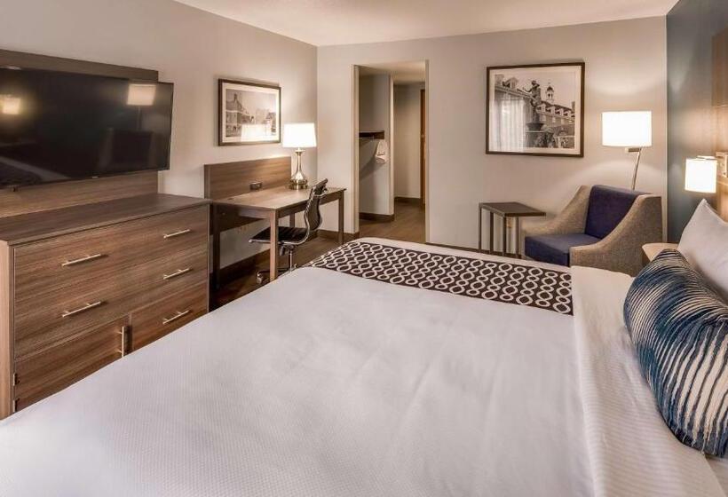 Mozgáskorlátozott Standard Szoba King Size Bed, Best Western  Plus Champaign/urbana Inn
