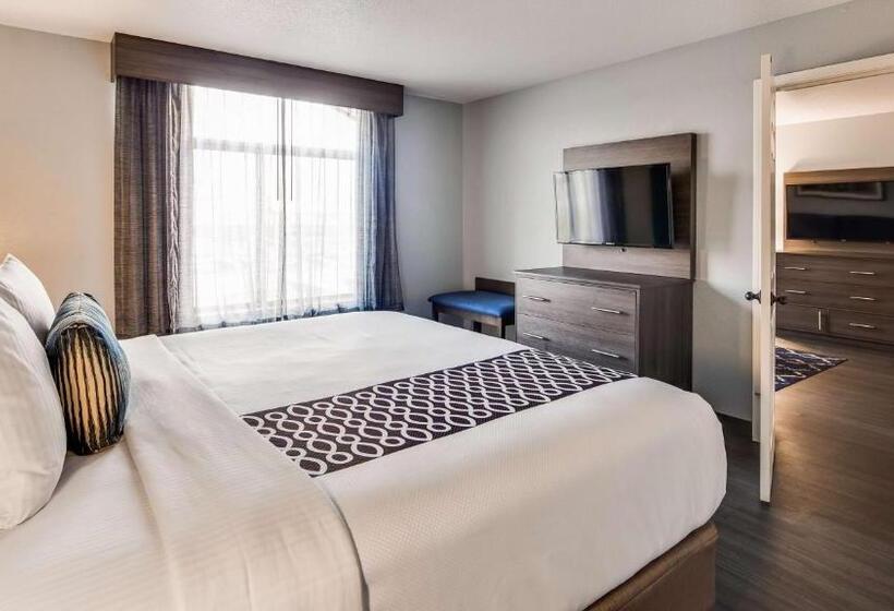 Suite King Size Bed, Best Western  Plus Champaign/urbana Inn