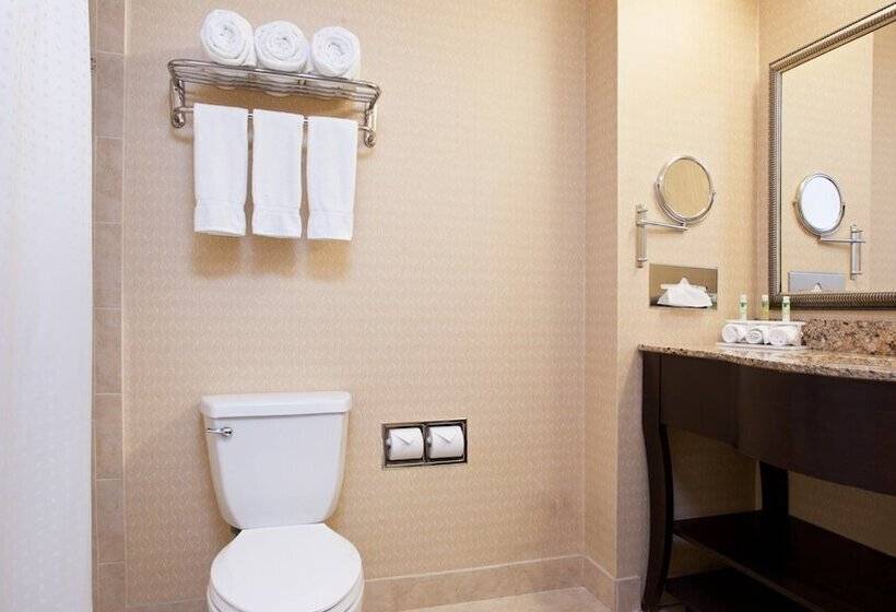 اتاق استاندارد, Holiday Inn Express And Suites Allentown West, An Ihg
