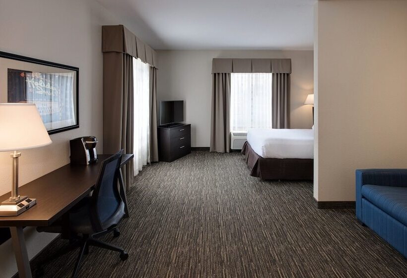 Люкс, Holiday Inn Express & Suites East Wichita I 35 Andover, An Ihg