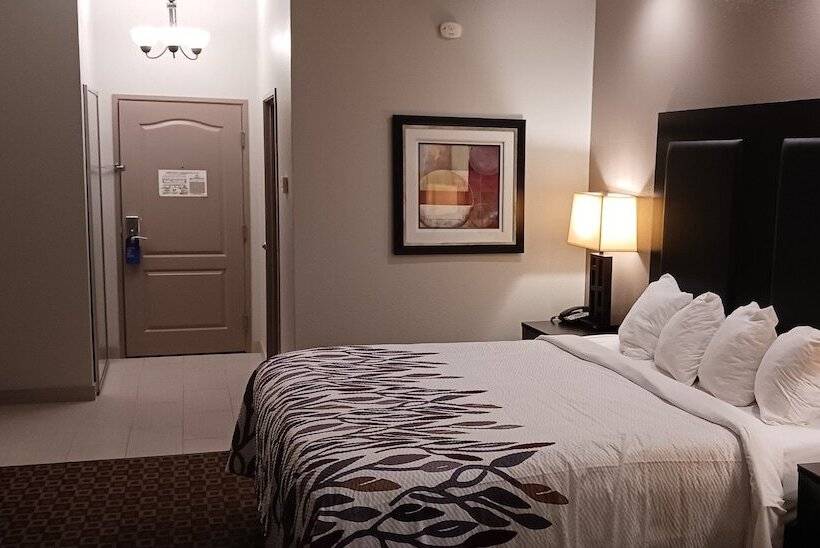 Люкс, Red Roof Inn & Suites Longview