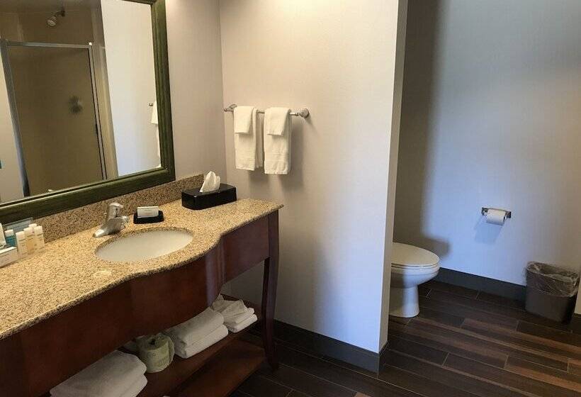자쿠지 스위트, Hampton Inn & Suites Lamar