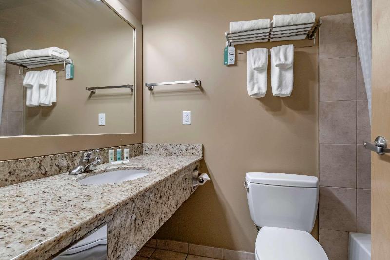 Стандартный Номер Кровать Кинг, Quality Inn & Suites