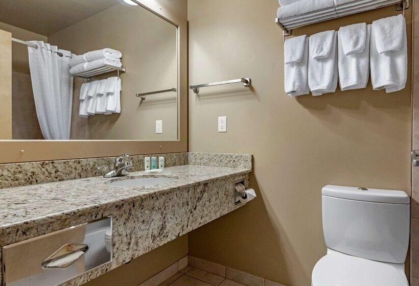 Номер Deluxe, Quality Inn & Suites