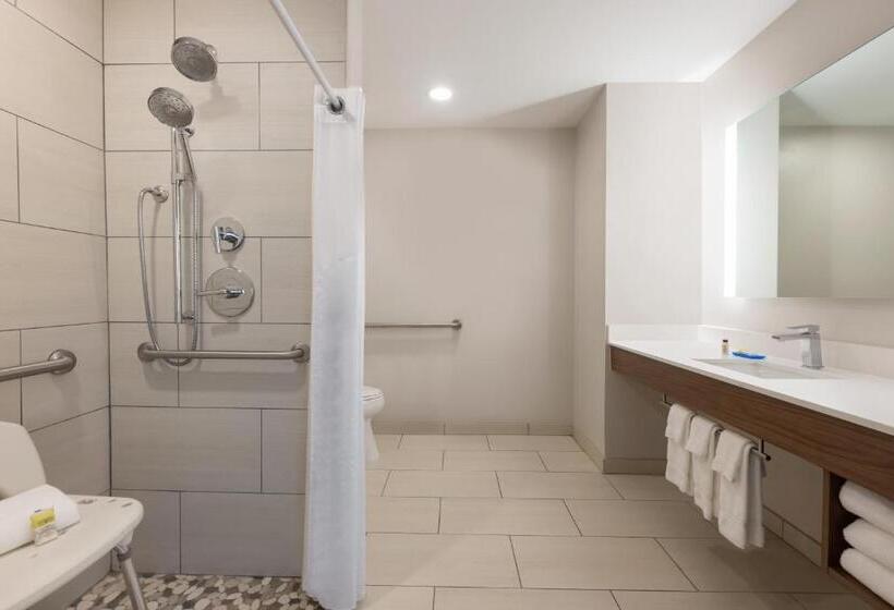 Номер Стандарт Кровать Кинг Адаптированный для Инвалидов, Holiday Inn Express Hotel & Suites Opelika Auburn, An Ihg