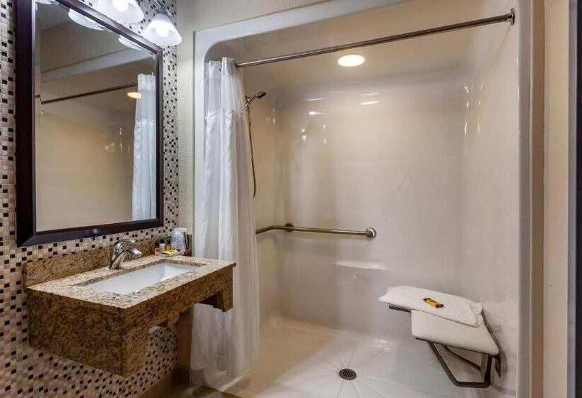 Стандартный Номер Кровать Кинг, Best Western Plus Woodstock Inn & Suites