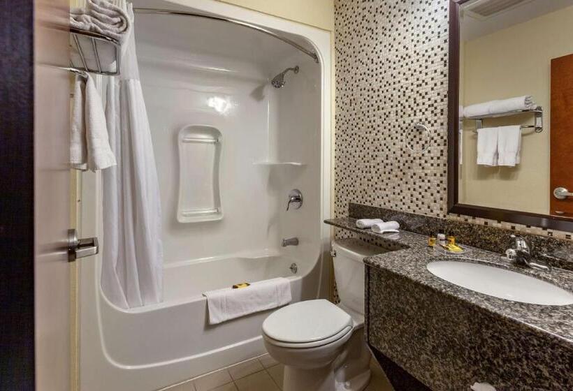Номер Стандарт, Best Western Plus Woodstock Inn & Suites