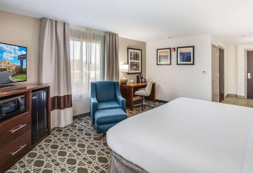 Номер Стандарт Кровать Кинг Адаптированный для Инвалидов, Comfort Inn & Suites