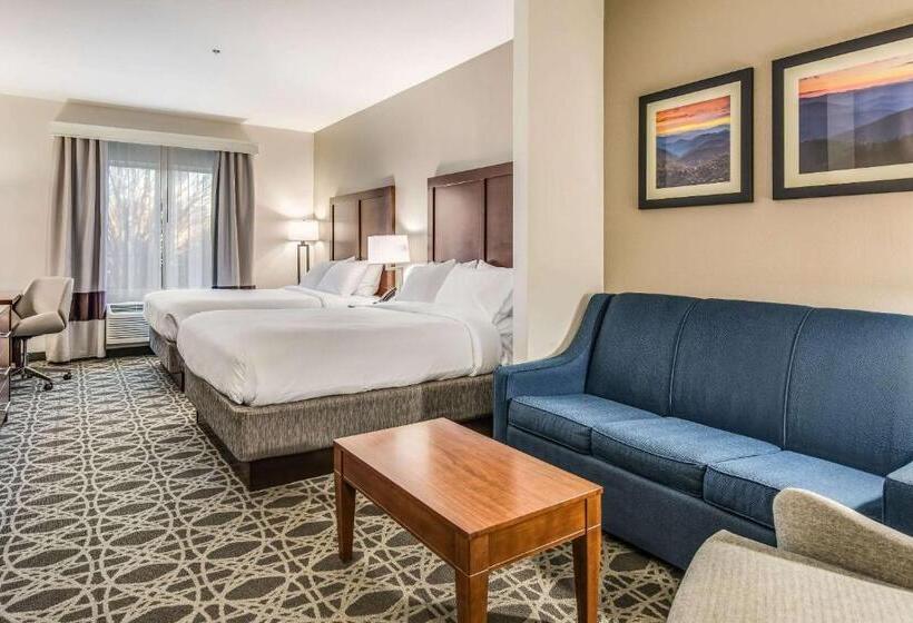 Люкс Адаптированный для Инвалидов, Comfort Inn & Suites