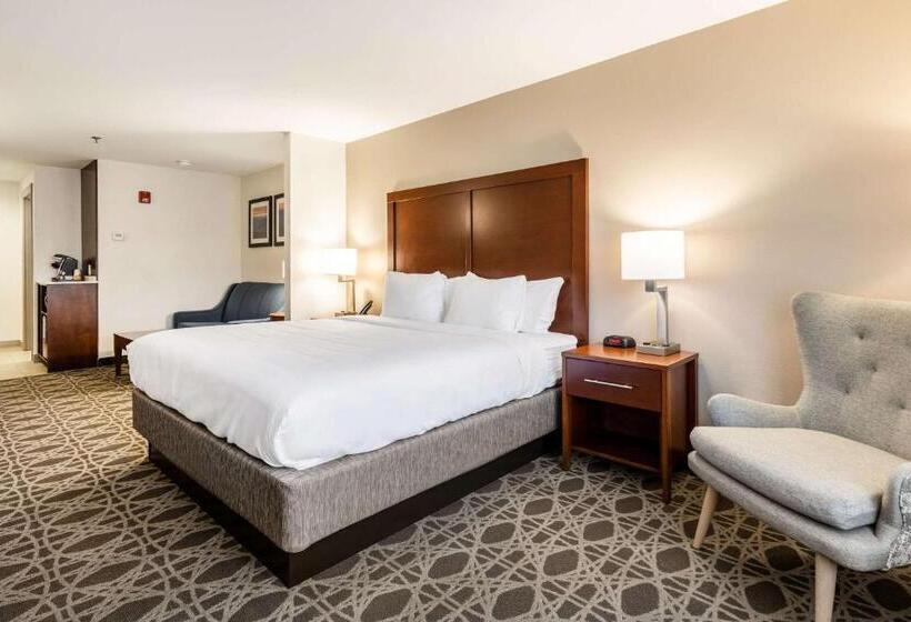 Люкс Адаптированный для Инвалидов, Comfort Inn & Suites