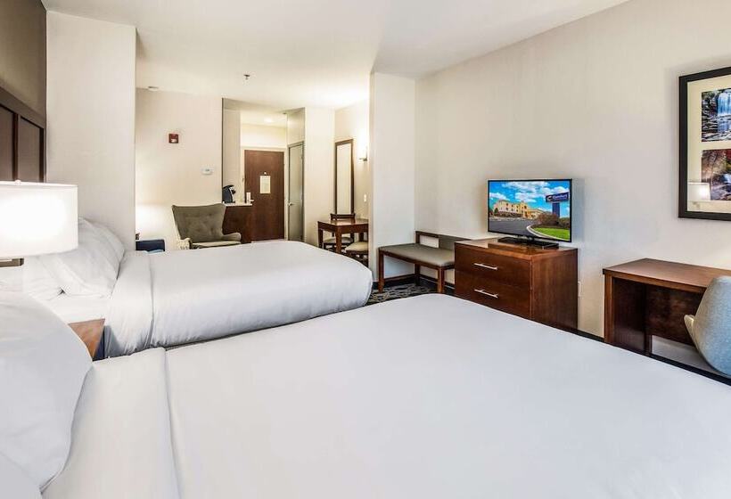 Люкс Адаптированный для Инвалидов, Comfort Inn & Suites