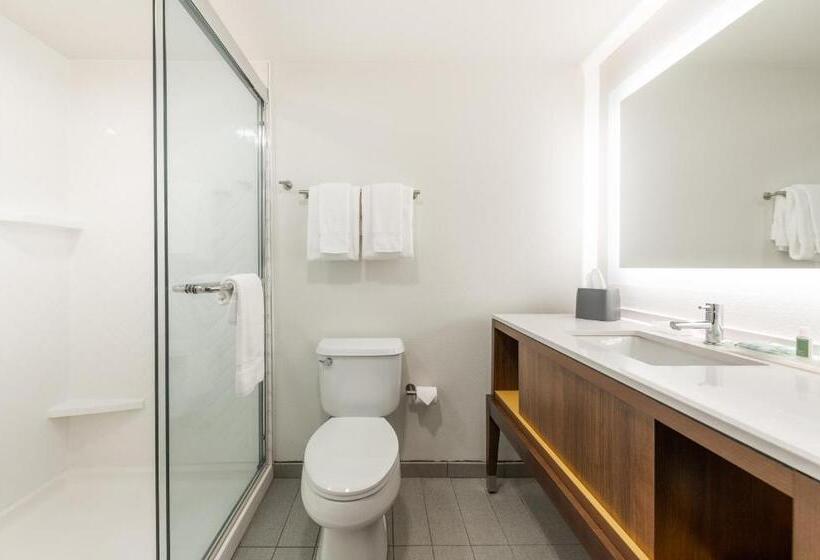 Номер Стандарт, Holiday Inn Hotel & Suites   Orange Park   Wells Rd