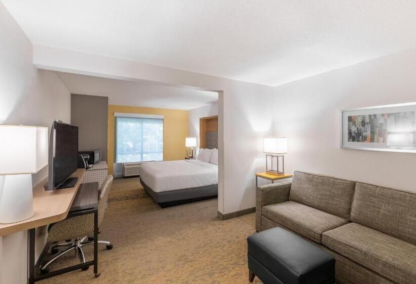 Стандартный Номер Кровать Кинг, Holiday Inn Hotel & Suites   Orange Park   Wells Rd