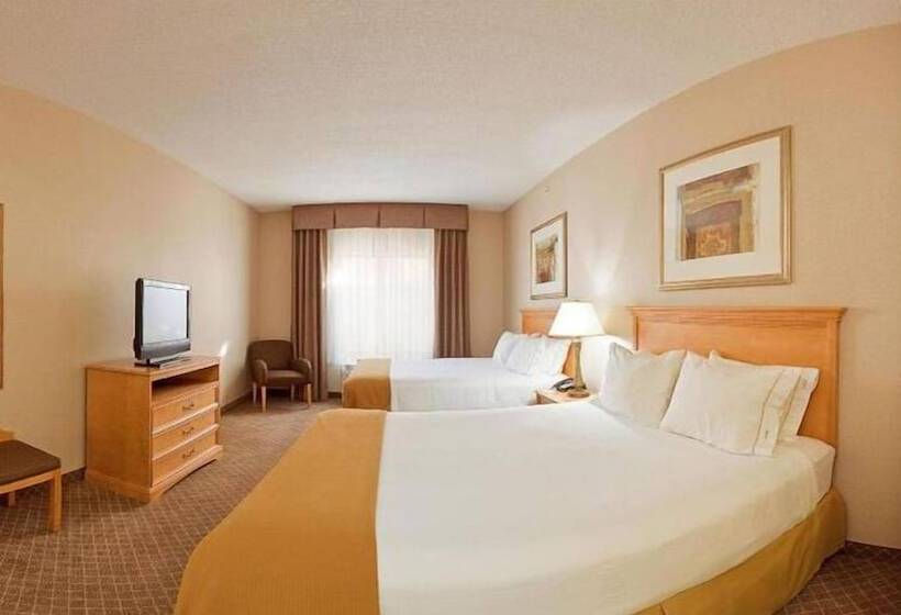 Номер Стандарт, Holiday Inn Express Hotel & Suites Chesterfield   Selfridge Area, An Ihg