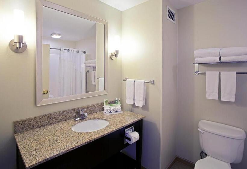 스탠다드 룸, Holiday Inn Express Hotel & Suites Grand Rapids North, An Ihg
